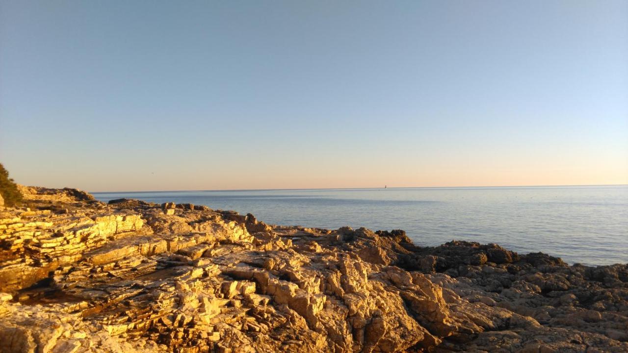 Lair By The Sea - Stoja, * Pula
